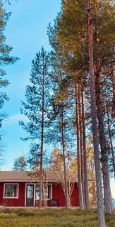 Kitka riverview home - Kuusamo - 8