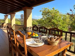Villa Bamboo - Santa Gertrudis de Fruitera - 6