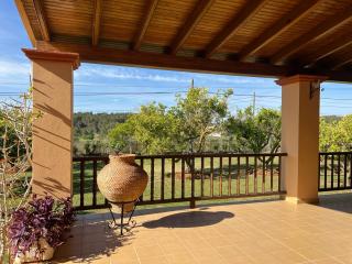 Villa Bamboo - Santa Gertrudis de Fruitera - 2