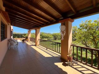 Villa Bamboo - Santa Gertrudis de Fruitera - 3