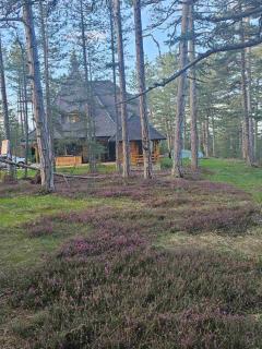 Apartman Crni bor 2 Tara - Kaludjerske Bare - 7