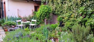 La Marmotta - Luserna San Giovanni - 6