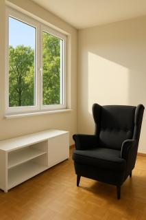 Paul's Place - Ginevra - 9