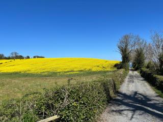 The Snug self contained apartment - Killyleagh - 8