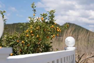 Hotel Alexandros - 3