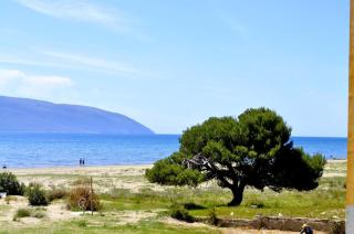 Seaside by siaapartments - Vlorë - 4