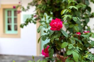 Villa Panagiota, Pefkos - 7