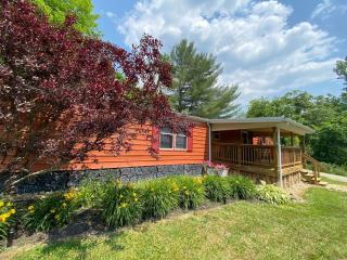 2 Bedroom Logan Ohio Hot Tub - 4