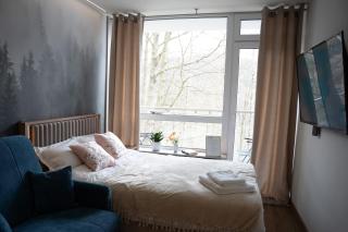 Apartament Ustroń 20 - Ustroń - 1