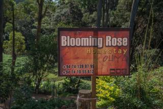 Blooming Rose Homestay - Ohiya - 0