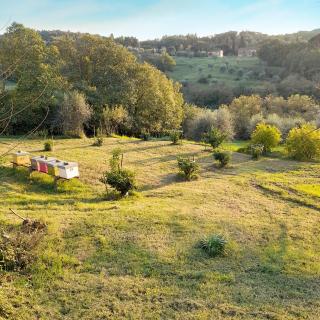 Le Corti - Agriturismo Olio e Vino - Lastra a Signa - 2