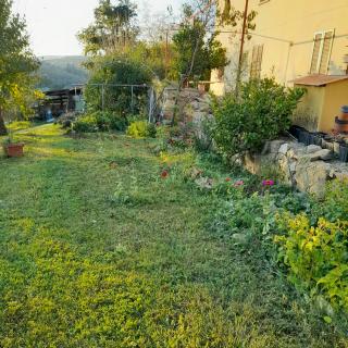 Le Corti - Agriturismo Olio e Vino - Lastra a Signa - 1