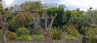 Stone House into Amasing Garden - Chania - 8