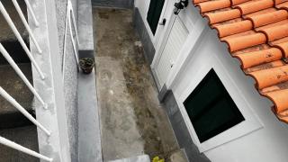 Great Stay T3 Funchal Central Duplex Retreat - Funchal - 1
