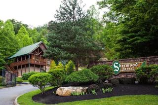 Mountain Memories - Cozy Cabin with Pool Table, Arcade, Movie Theatre - Pigeon Forge - 9