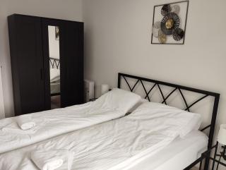 Apartman IDA - Veliko Gradiste - 3