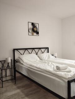 Apartman IDA - Veliko Gradiste - 1