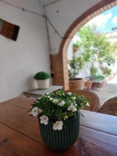 La Casa de Dori - Beteta - 0