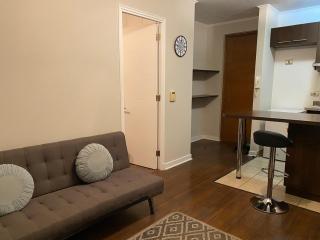 Departamento en Santiago con smart TV y WiFi - Santiago - 8