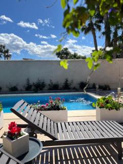 PARADISE GARDEN - Los Alcázares - 9