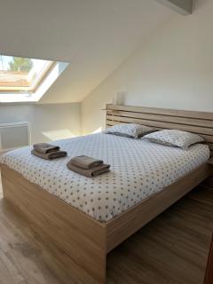 Appartement tout confort, cosy refait à neuf - Hambach - 2