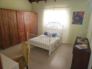 Suite Georgiana - Ensuite Double Bedroom, Cardiff Hall, Runaway Bay, One Mile to Beaches, 1 Hour From Montego Bay Airport - 9