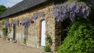 La Petite Lande - Ménil - 4