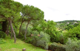 Le Corti - Agriturismo Olio e Vino - 1