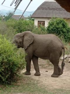 queen Elizabeth National Park, Sana Sana holiday Apartments - Nalakonge - 2