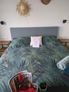 Bed no breakfast de Kapitein - 't Horntje - 9