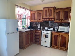 Cozy 1- Bed Apt Near Rodney Bay - Gros Islet - 4