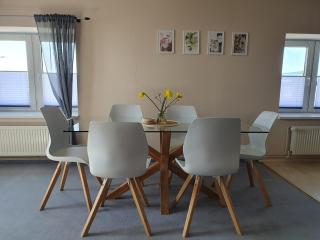 Neumühler Hof- Ferienwohnung "Thomas" 3 Zimmer,3 Bäder mit Dusche, kostenfreie Parkplätze vor dem Haus - Schwerin - 9