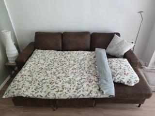 City Nest - Große gemütliche Ferienwohnung mit Terrasse, zentral gelegen, für Paare, Familien und Hunde! - Göttingen - 3