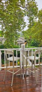 Sunbird Studio treetop views - George - 7