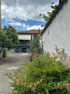 Birds Hostel - Shkodër - 9