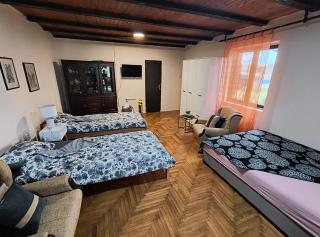 Apartman LANA i TARA - Donji Milanovac - 7
