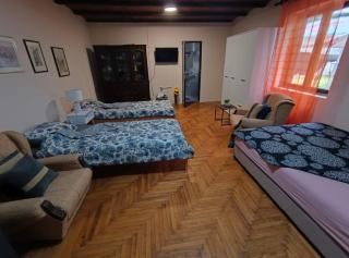 Apartman LANA i TARA - Donji Milanovac - 9