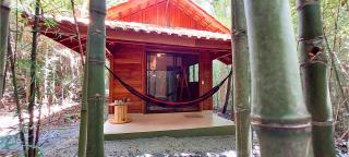 Cabana de madeira entre as árvores - 9