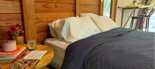 Cabana de madeira entre as árvores - 4