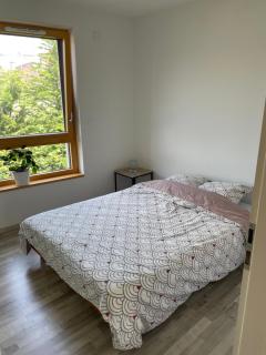 Appartement - 3 chambres - proche Euroairport - Sierentz - 8