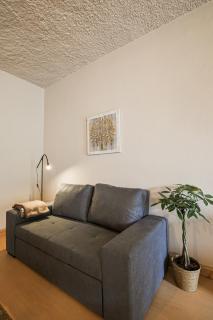Casa Pinheiro - Pinheiro de Coja - 5