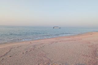 Star Chalet with Pool & Wifi - Ras al Hadd - 8