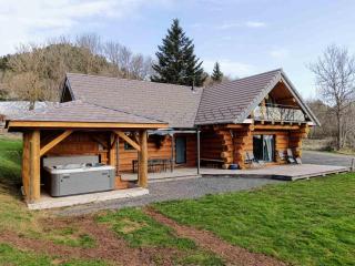 Wood log chalet - Yssingeaux - 0