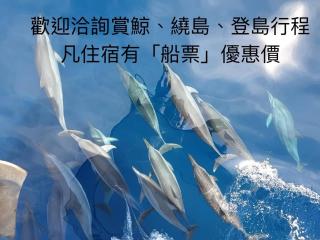 宜蘭頭城AH Birthday 私人溫泉蘭陽夜景大陽台無邊際泳池 - 4