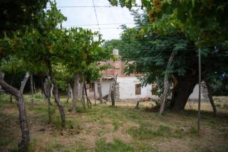 Cerco del Trigo - Amaichá del Valle - 3