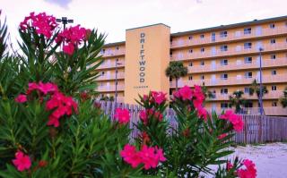Driftwood Towers - Gulf Shores - 0