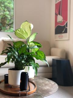 Villetta - Matakana Boutique Luxury Accommodation - Matakana - 1