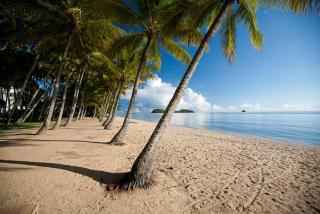 Vista Bleu - King Suite at Temple Resort - Palm Cove - 3