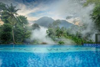 De Spicewoods, AC Cabin, Pool, Couple only - Kalpetta - 8