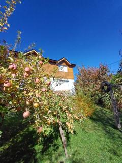 DAT Nelly - San Carlos de Bariloche - 5